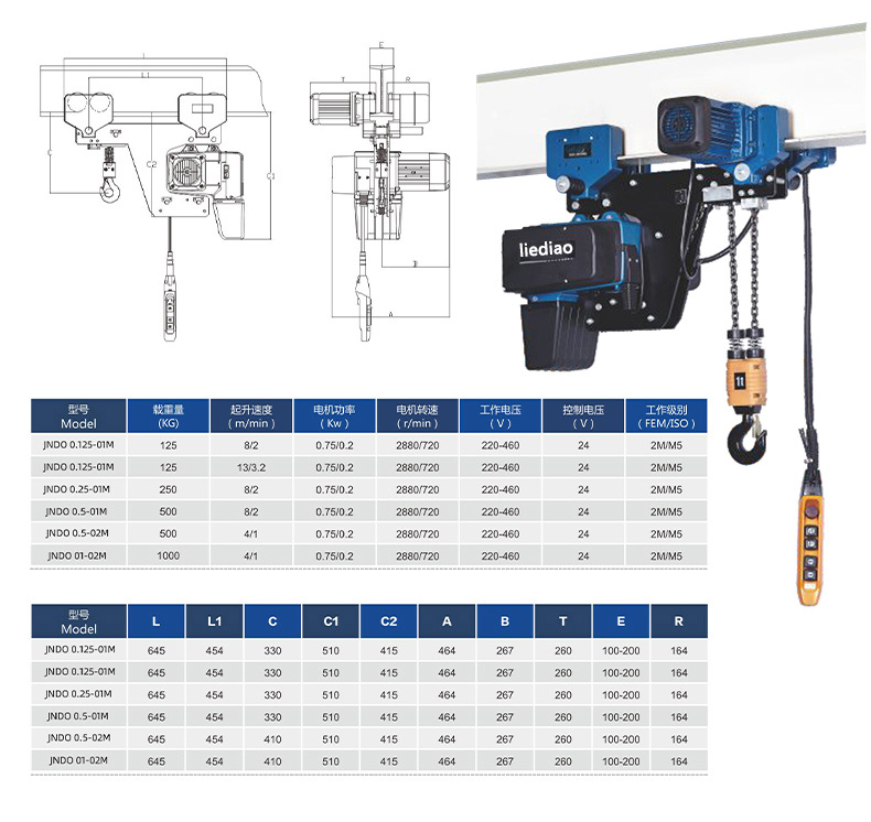 euro electric chain hoist